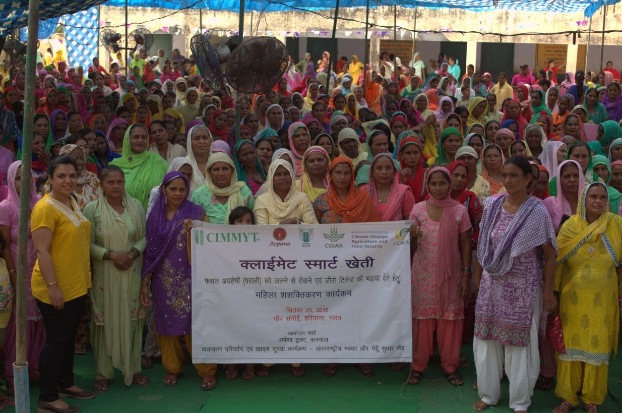 Farmers pledge to stop burning residues. Photo: L. Singh/CIMMYT