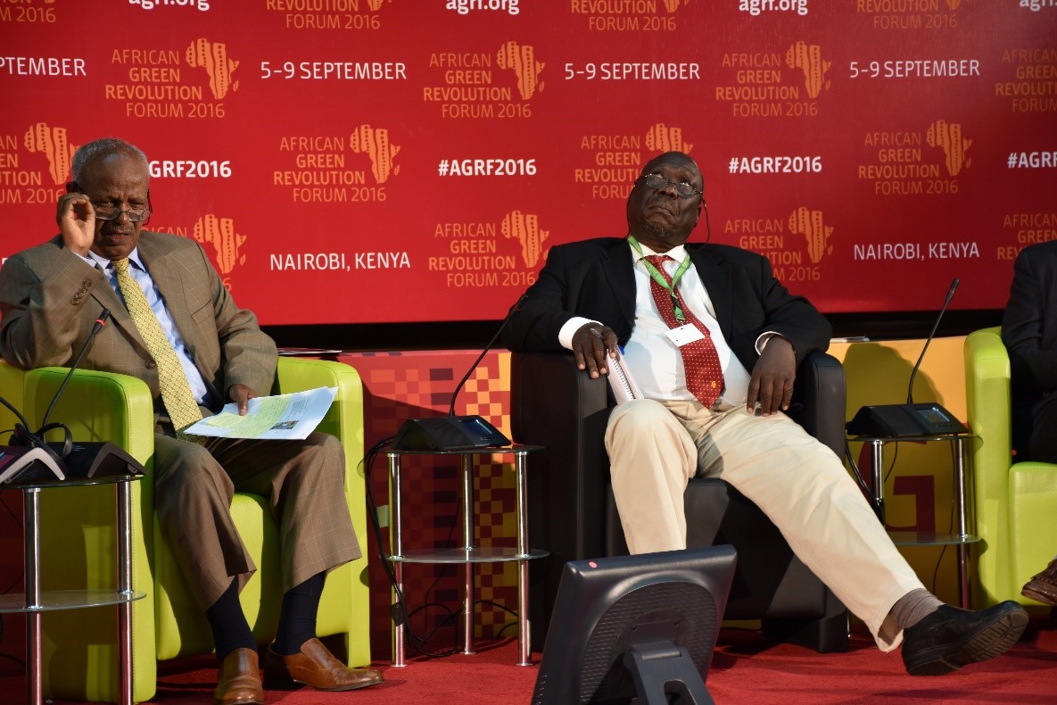 Tsedeke Abate, project leader of Stress Tolerant Maize for Africa and CIMMYT Maize Seed Systems in Africa, raises a point during a session at AGRF. Photo: B. Wawa/CIMMYT