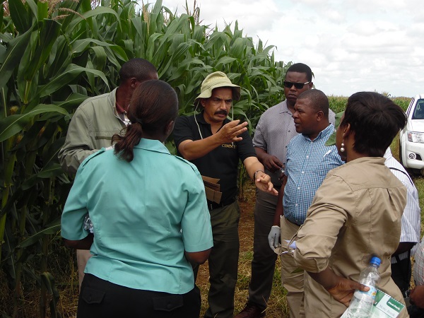 Participants recieve instructions from L.M Suresh, a maize pathologist at CIMMYT, during the MLN surveillance and diagnostic workshop. Photo: D.Hodson/CIMMYT