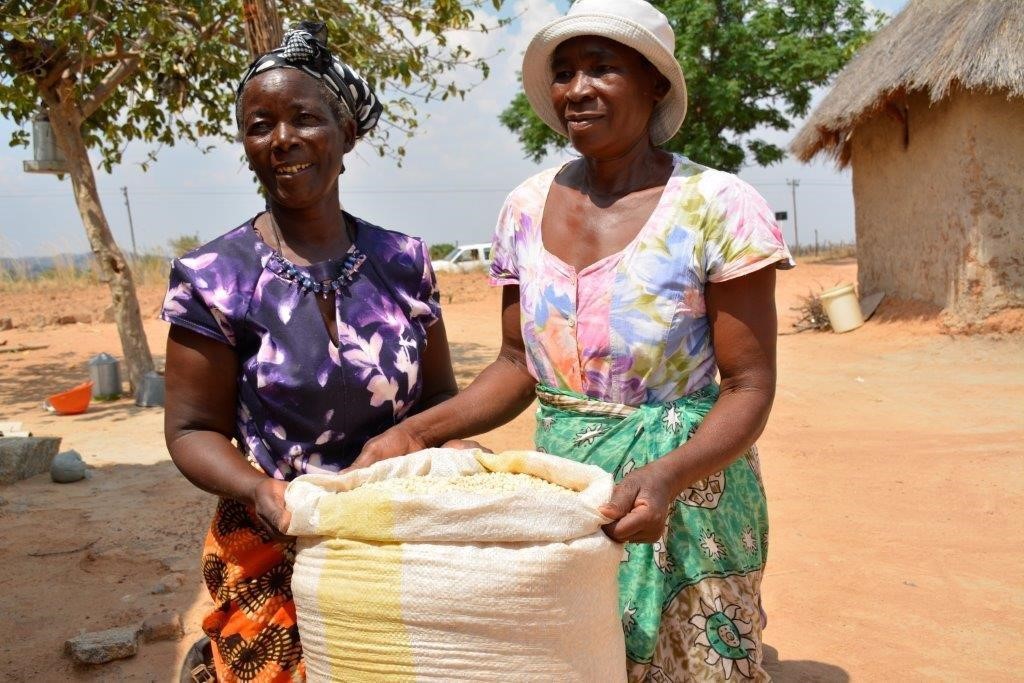Appollonia Marutsvaka and Alice Chipato of Zaka District in Zimbabwe. If widely adopted, drought- and heat-tolerant maize varieties could help farmers cope with drought and heat stresses. Photo: J. Siamachira/CIMMYT 