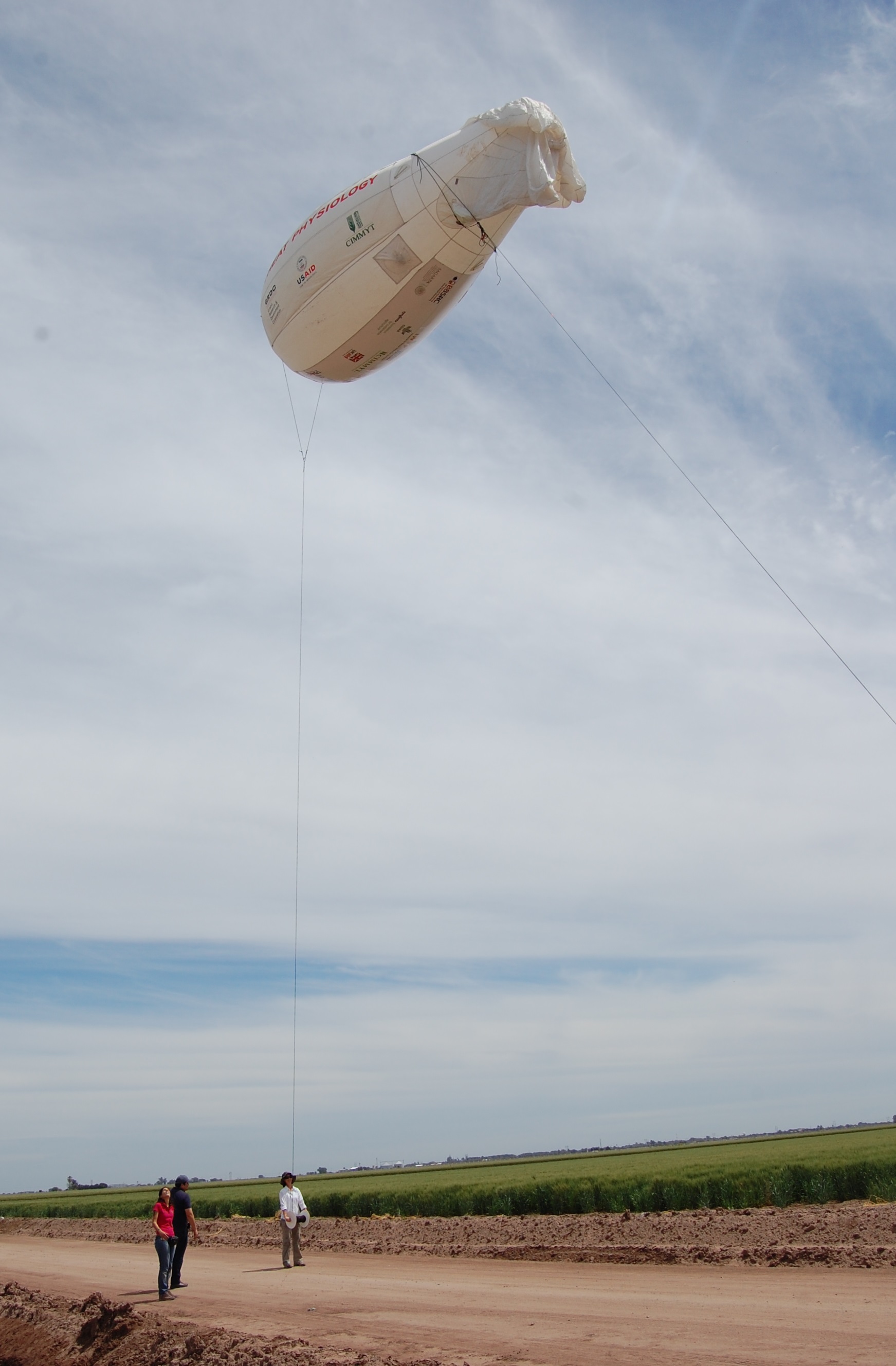 Cameras and other sensors mounted on flying devices like this blimp [remote-control quadcopter] provide crop researchers with important visual and numerical information about crop growth, plant architecture and photosynthetic traits, among other characteristics. Photo: Emma Quilligan/CIMMYT