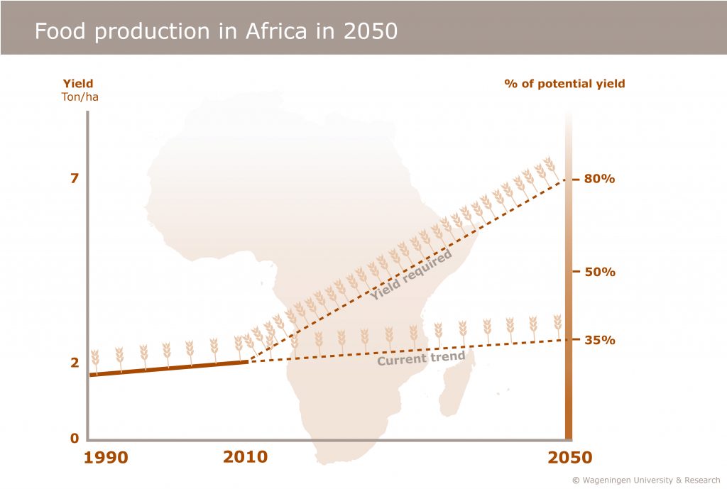 cereals_africa_trends_en-2