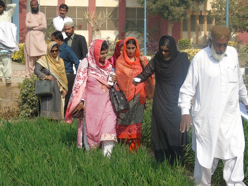 Wheat researcher with Green Seeker at Wheat Research Institute Sakrand, Sind Province, Pakistan. Photo: Sarfraz Ahmed