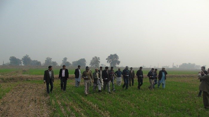National partners observe the Green Seeker at work at Rice Research Institute, Kala Shah Kaku, and Punjab, Pakistan. Photo: Abdul Khalique