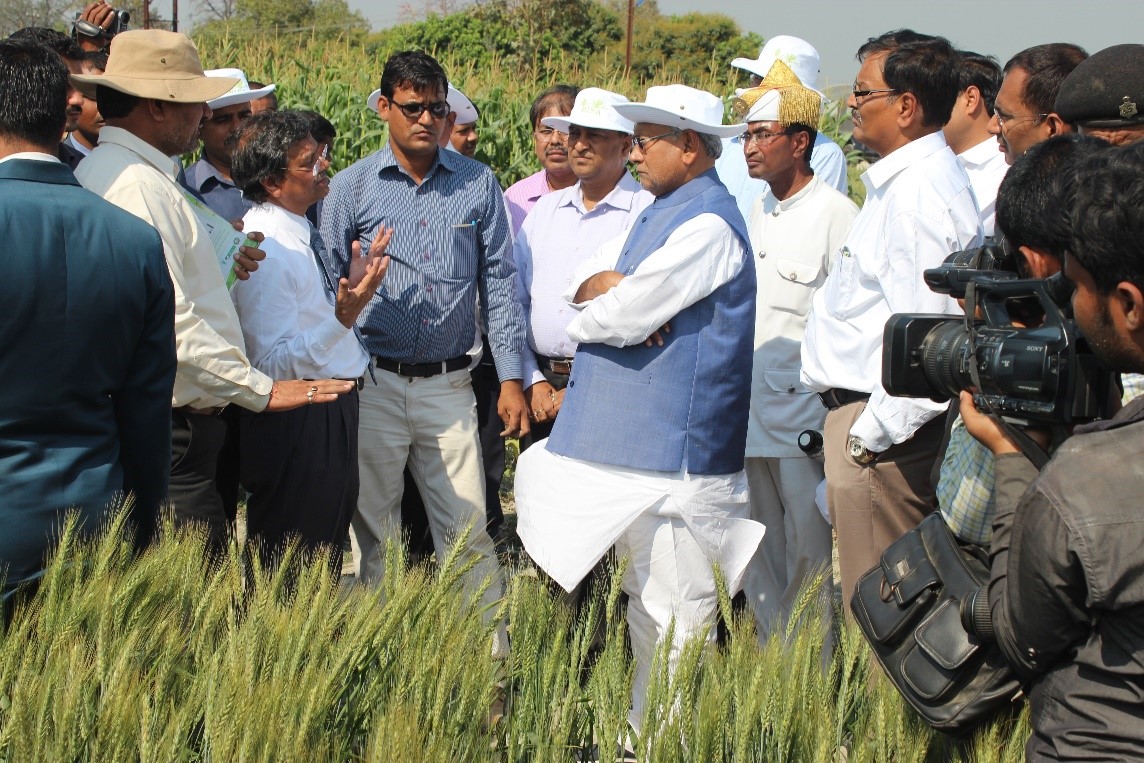 Farmers sharing their experiences with climate-smart practices during a field visit by the Chief Minister of Bihar. Photo: CIMMYT-BISA