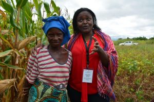 Conservation agriculture systems involve crop rotations and inter-cropping with maize and legumes to increase yields. In the photograph, conservation agriculture practitioner Lughano Mwangonde with the gender development specialist Rahma Adam in Balaka district, Malawi. Photo: CIMMYT/Johnson Siamachira.