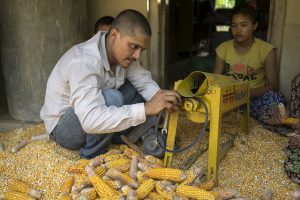 By scaling up, development practitioners take successful interventions and expand, adapt and sustain them in different ways over time for greater development impact. Photo: CIMMYT/P. Lowe