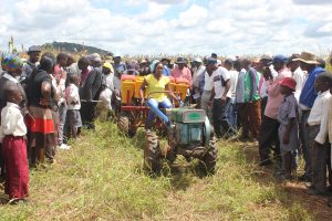 Farmers test out agricultural mechanization tools in Zimbabwe as part of CIMMYT's 