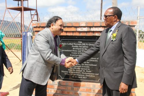 CIMMYT Global Maize Program Director and CGIAR Research Program MAIZE Director B.M. Prasanna, shakes hands with Zimbabwe’s Minister for Agriculture, Joseph Made, after the official opening of the MLN quarantine facility. Photo: Johnson Siamachira/CIMMYT.