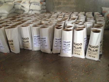 Hugo Plus seed bags ready to be sealed and shipped. Photo: L. Eugene/CIMMYT