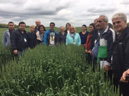 The sixth International Winter Wheat Travelling Seminar was recently held in Krasnodar, Russia, to improve wheat breeding across West and Central Asia. Photo: CIMMYT