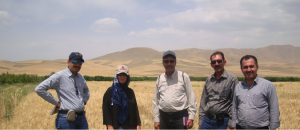 Picture shows (L-R): Mahesh Kumar Gathala (CIMMYT), Marta Lopes (CIMMYT-Turkey), Jalal Kamali (CIMMYT-Iran), Mozaffar Roustaii (DARI) and Loghman Alipashaei a farmer in Iran. CIMMYT/Marta Lopes