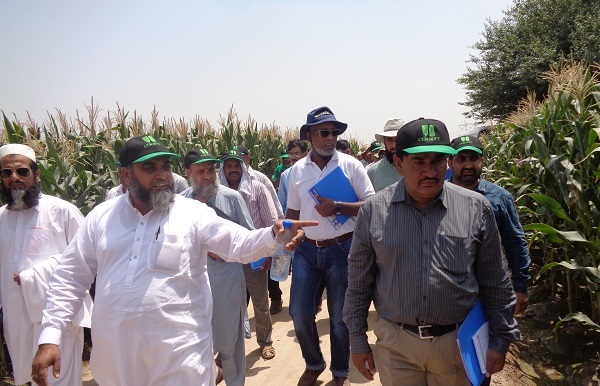 Participants of maize travelling seminar visiting maize activities at MMRI-Sahiwal, Pakistan, 2017. Photo: E.Shakeel/CIMMYT