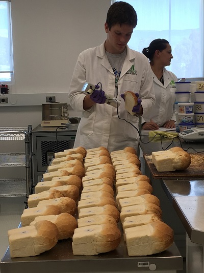 Jonathan Poole tests the color of bread samples in CIMMYT's wheat quality lab. Photo: CIMMYT/L.Strugnell