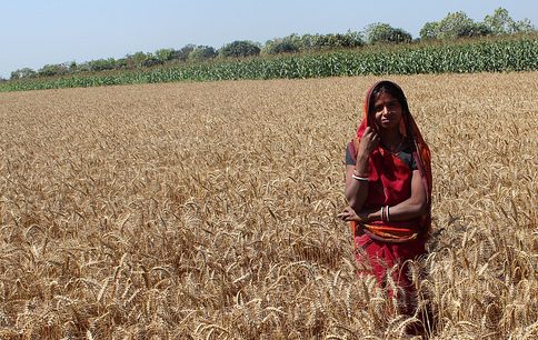 India is one of the world’s largest contributors to global warming, but simple changes in farm management can drastically cut emissions while meeting food demand.