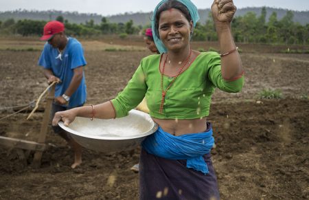 Farmer Kausila Chanara direct dry seeding rice in Ramghat, Surkhet, Nepal. Photo: P.Lowe/CIMMYT