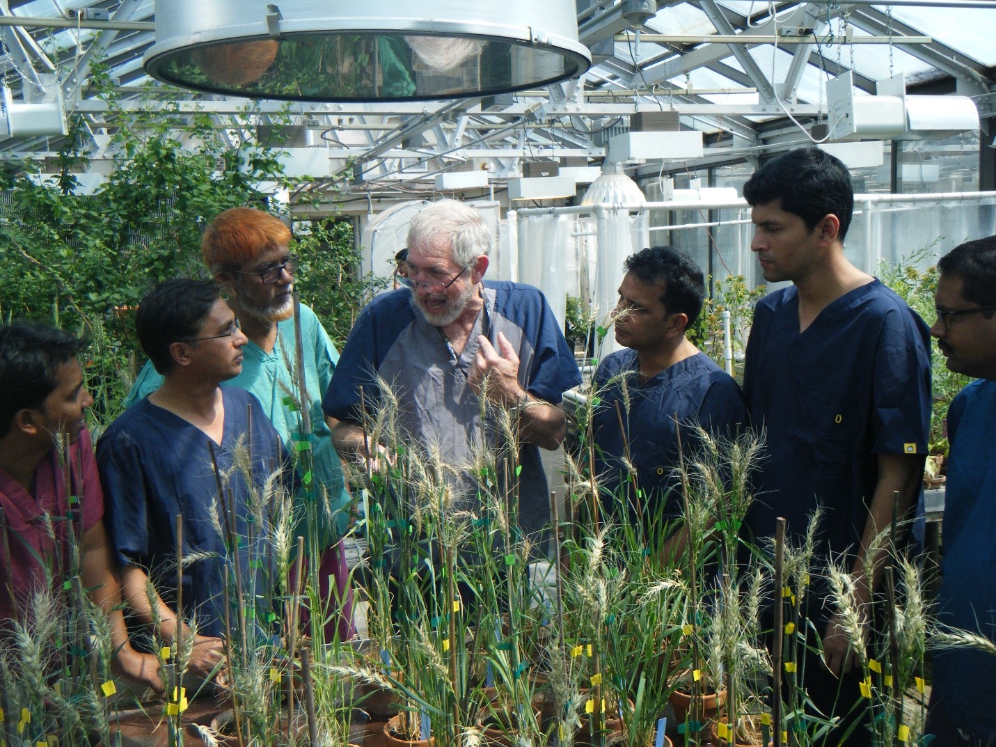 Gary Peterson, explaining wheat blast screening to trainees inside the USDA-ARS Level-3 Biosafety Containment facility. Photo: CIMMYT archives