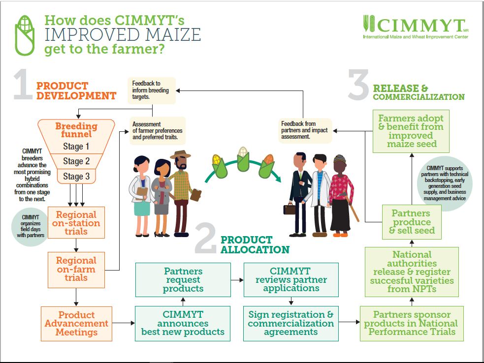 How does CIMMYT's Improved Maize Seed get to the Farmers (Oct 2017)