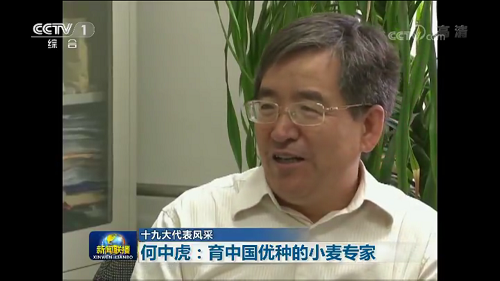 Zhonghu He on CCTV News.