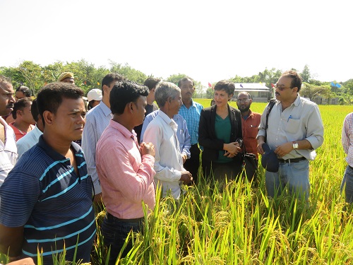 Field visit at SRFSI. Photo courtesy of SRFSI program.