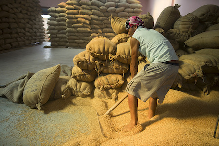 Support from Nepal’s banking sector has the potential to benefit seed companies across the country. Photo: P. Lowe/CIMMYT