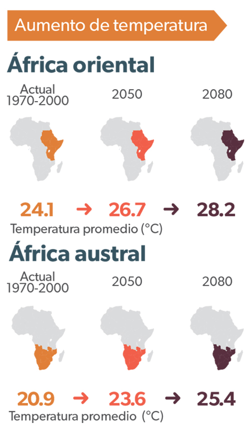 graficafrica