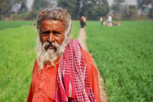 Líderes agrícolas de todo el sur de Asia se reunieron recientemente en Dhaka, Bangladesh, para crear una hoja de ruta sobre cómo ayudar a los agricultores a hacer frente al cambio climático y satisfacer la demanda de alimentos en el futuro. Foto: CIMMYT/ M. DeFreese 