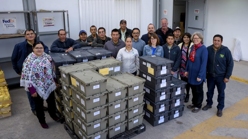 CIMMYT's Germplasm Bank staff preparing a seed shipment to send to Svalbard. Photo: Alfonso Cortés/ CIMMYT