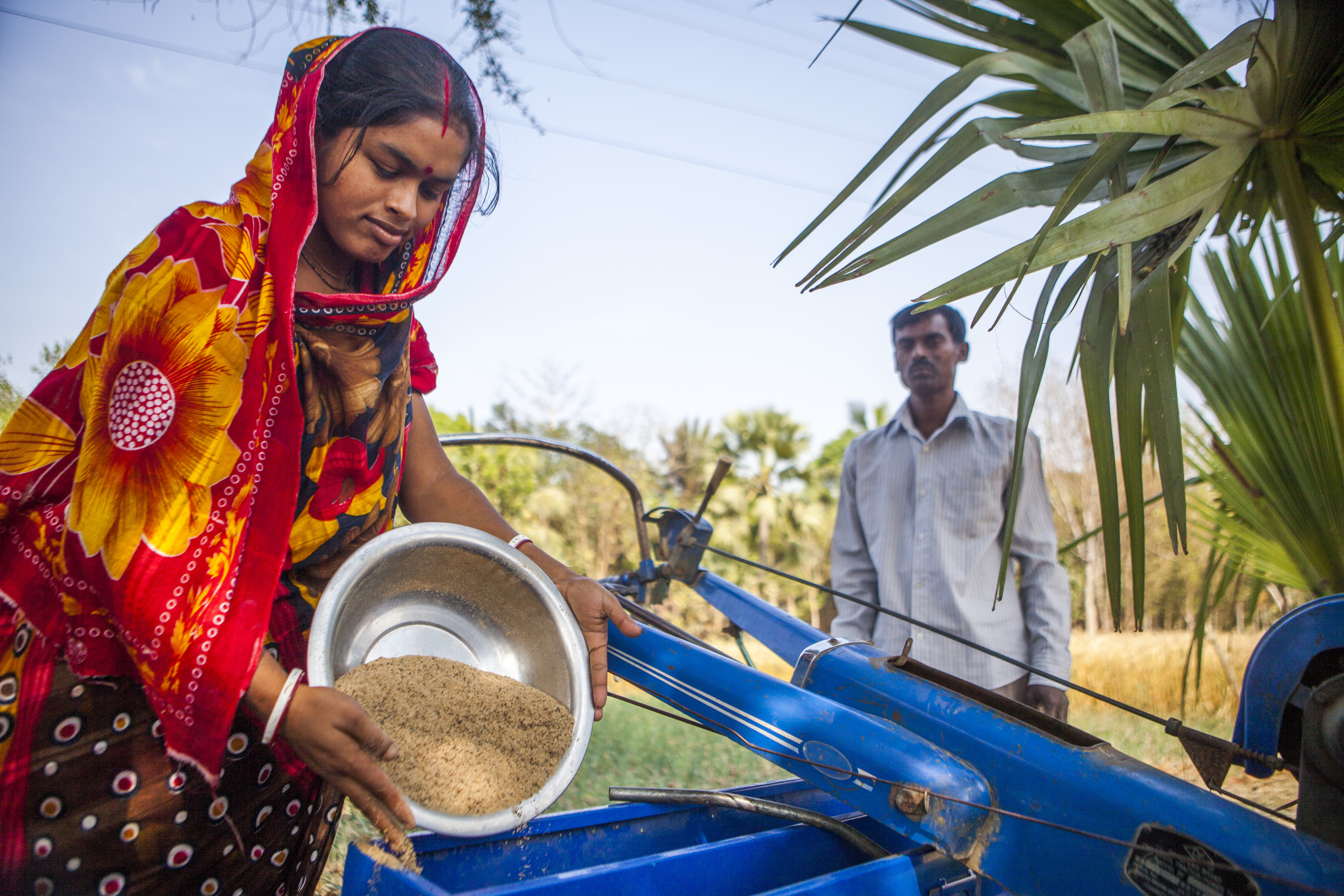 Training on Seeder Fertilizer Drills in Shonaikuri under Baliakandi Upazila of Rajbari District. Local Service provider Shonaton Biswas demonstrates SFD to the male and female farmers. Seeder Fertilizer Drills is used to plant wheat, sesame and mustard in this area.