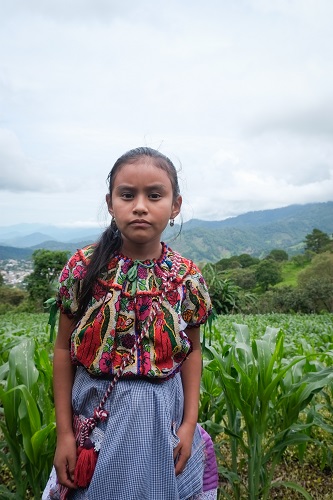 The next generation: The granddaughter of Felipa Martinez and Modesto Suarez stands in her grandparent's maize field. Photo: Matthew O'Leary