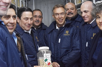 Visiting the CIMMYT germplasm bank. Photo: C.Beaver/CIMMYT.