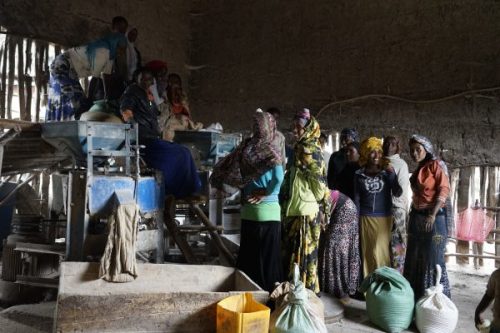 Women at a maize mill in Ethiopia. Photo: CIMMYT/P. Lowe