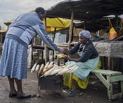 Roadside vendor sells roasted maize cobs in Kenya. Photo: P.Lowe/CIMMYT.
