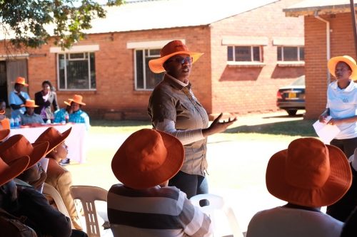 Sakile Kudita, HarvestPlus researcher, eplains the benefits of of biofortified orange maize to seed company and government representatives. Photo: Matthew O'Leary/ CIMMYT