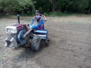 Dipty Roy operating her power take-off machinery in the village of Taltola, Rajbari. Photo: Rowshan Anis/iDE