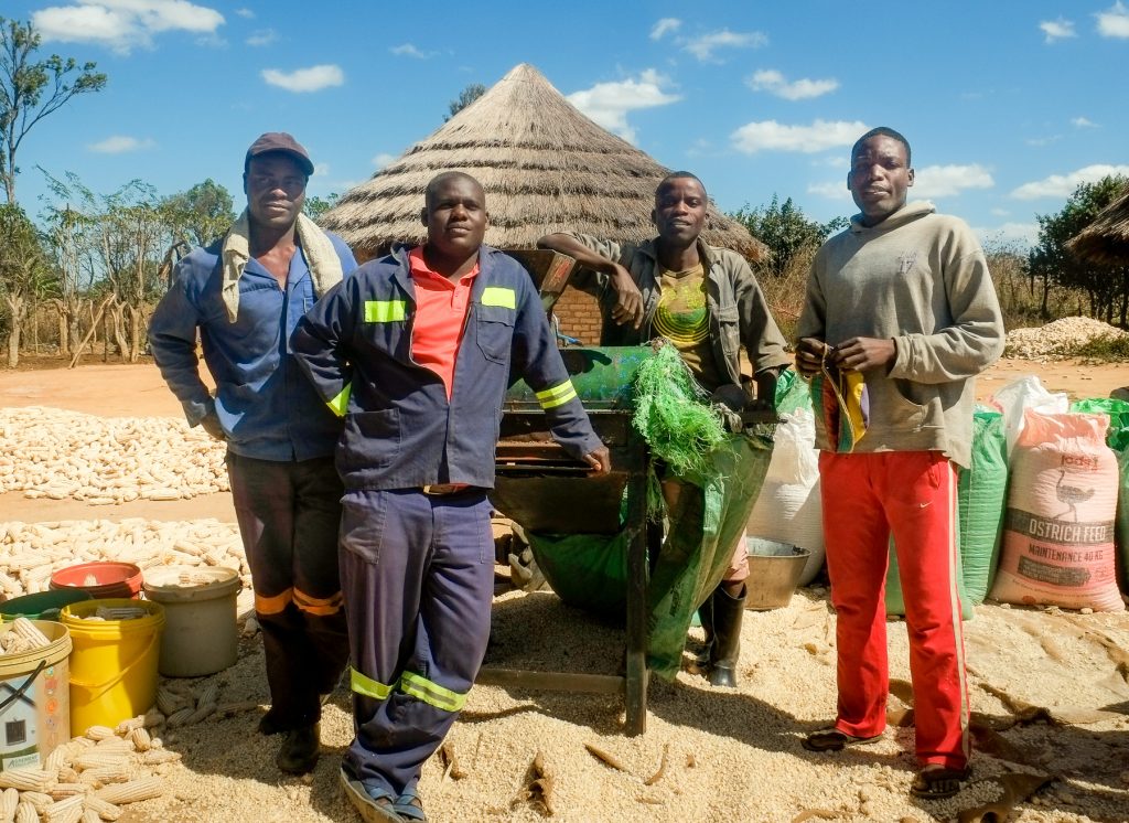 After receiving training from CIMMYT, this group of young men started a small business offering mechanized agricultural services to smallholder farmers near their town in rural Zimbabwe. (Photo: Matthew O’Leary/CIMMYT)