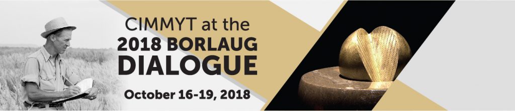 Vea nuestra cobertura del Diálogo Borlaug 2018 y el Premio Mundial de la Alimentación