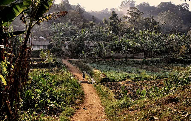 Lushoto, Tanzania. Photo: Rod Waddington