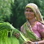 A woman in a climate-smart village in Bihar, India. (Photo: V.Reddy/ViDocs/CCAFS)