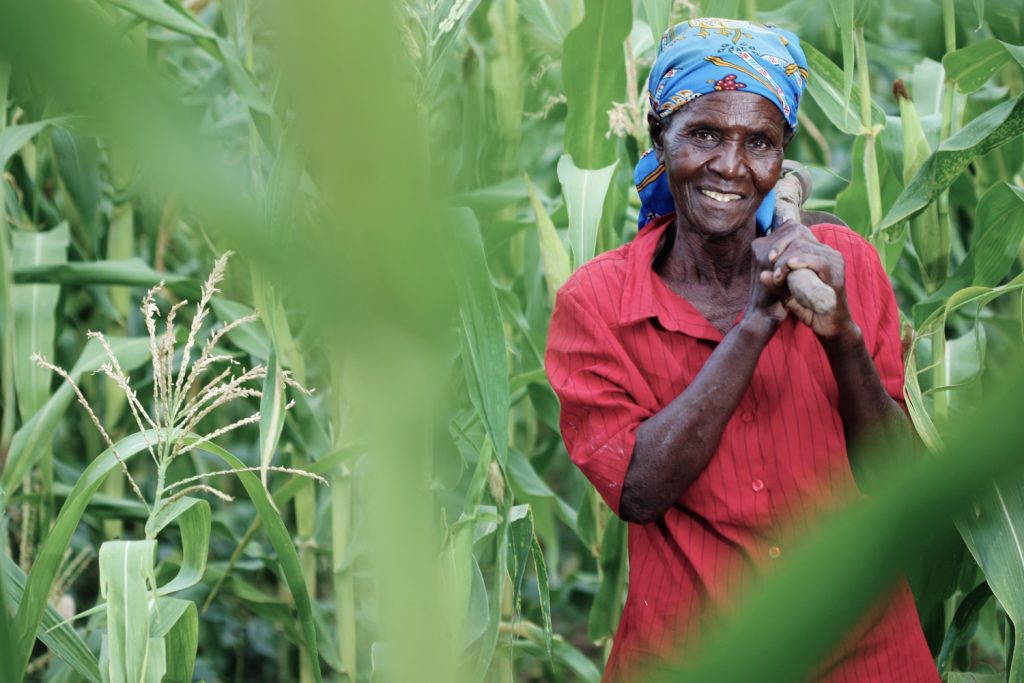 Since 2011, farmers in Nyando climate-smart villages, in Kenya’s Kisumu county, have been working with researchers, development partners, and government extension agents to test a portfolio of promising climate change adaptation, mitigation, and risk management interventions. (Photo: K. Trautmann/CCAFS)